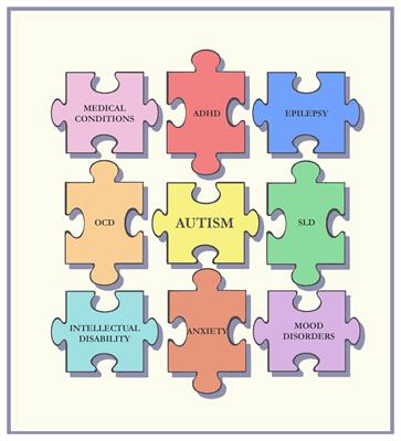 Comorbidity And Autism Spectrum Disorder Frontiers Research Topic Autism is a developmental disorder affecting verbal and social skills that starts in early childhood. autism spectrum disorder