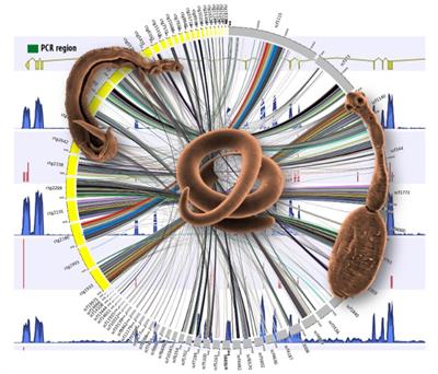 Research Topic Research topic image